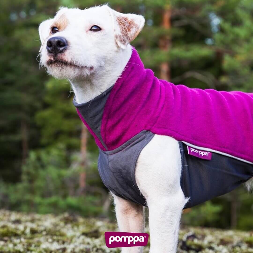 Pomppa
